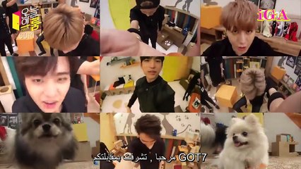 Arabic Sub || Today′s ROOM  GOT7's Individual Broadcast Now ON-AIR!