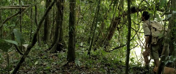 LA VIE PURE - Bande-annonce VF