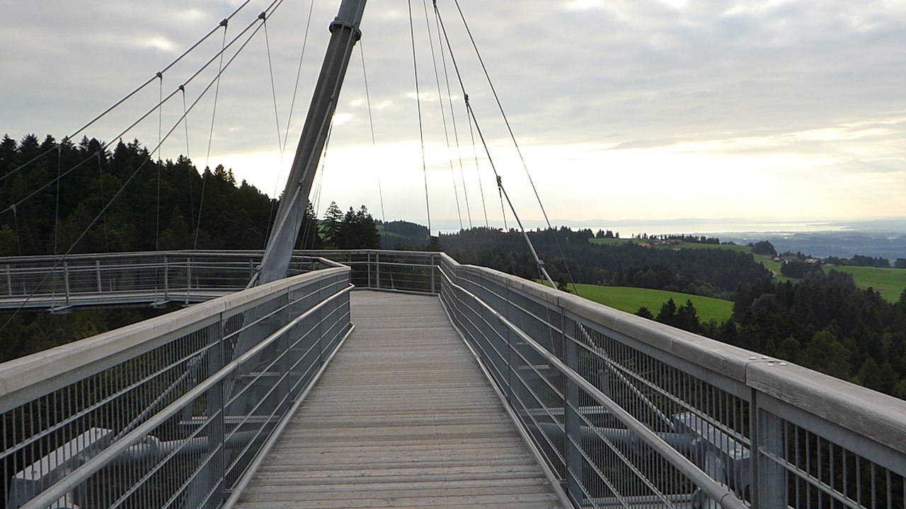 Baumwipfelpfad Skywalk in Scheidegg / Allgäu (bei Lindau)