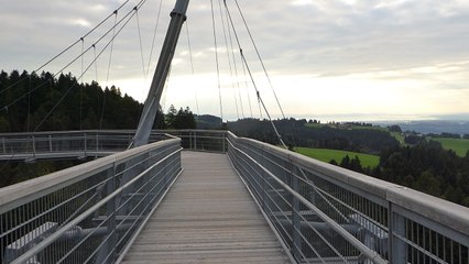 Baumwipfelpfad Skywalk in Scheidegg / Allgäu (bei Lindau)