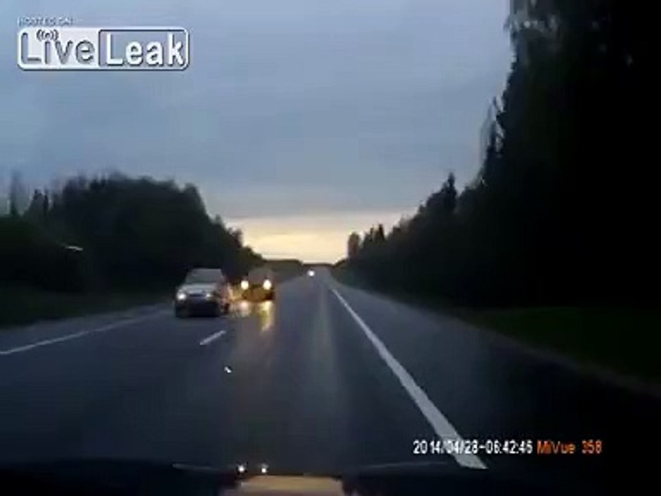 Moose attempts to cross the road.