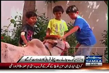 Shahid Afridi Kay Ghar Bhi Eid e Qurba Ki Runakain