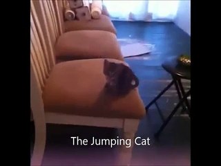 Baby Singing Eminem and Maniac Dancein 1 minute 2 Funny kids | new funny clip 2015