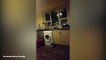 Terrifying footage shows 'paranormal activity' inside kitchen