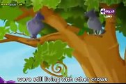 Tales of animals in Quran episode 1 (Adam's crow)