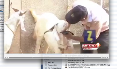 Zara Hut Kay Hazar Ka Note Khaya Hai Bakra Ne Eid Special