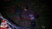 Coxy passes out drunk on electric fence! (REAL LIFE DAMO!)