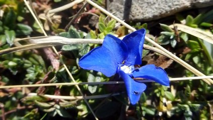 2015-09-24 hauts plateaux