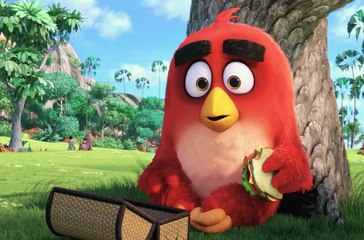 Bande-annonce : Angry Birds - VF