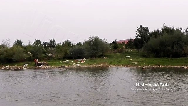 AGORA MEDIA | Bătaie de joc adusă cu calul (dar calul a plecat la un moment dat)