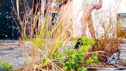 Seketh Barbara - Bicha Pague Meu Dinheiro