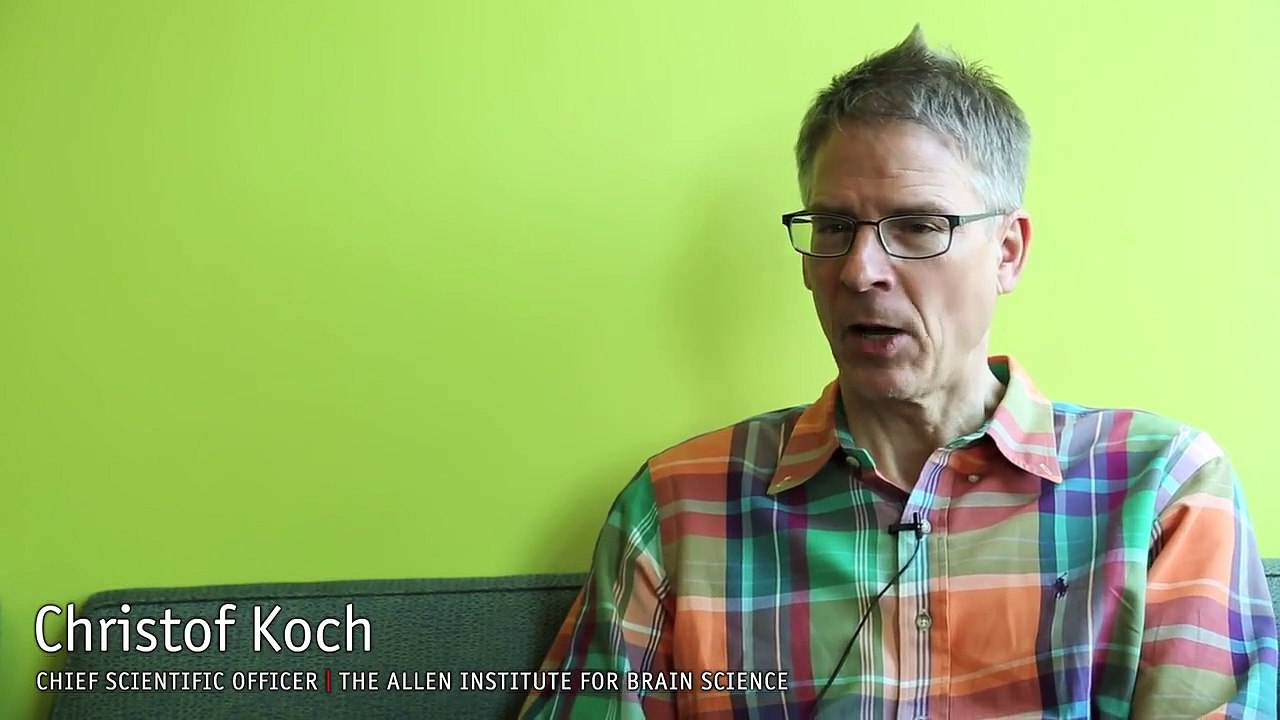 What is consciousness?
