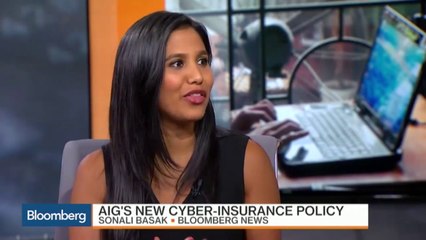 AIG Can Sell You a Cyberterrorism Insurance Policy
