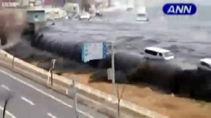 Цунами в Японии глазами жертвы!