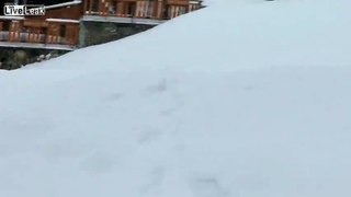 LiveLeak.com - Dog Stops Two Skiers To Get Some Very Important Assistance