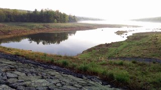 Are there still fish in Meadow Grounds Lake?