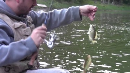 Nightcrawlers vs Meal Worms - which catch more fish?