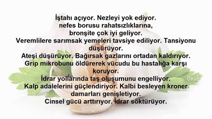 Sarımsağın Faydaları ve Zararları