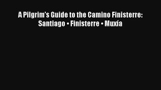 A Pilgrim's Guide to the Camino Finisterre: Santiago • Finisterre • Muxía Read Download Free