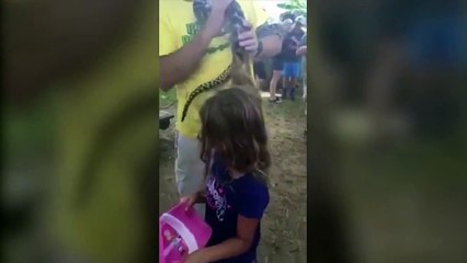 Python gets caught in girls hair - wiglieys