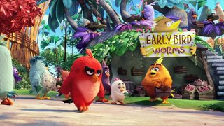 THE ANGRY BIRDS MOVIE - Official Trailer (2016) Animated Comedy Movie HD