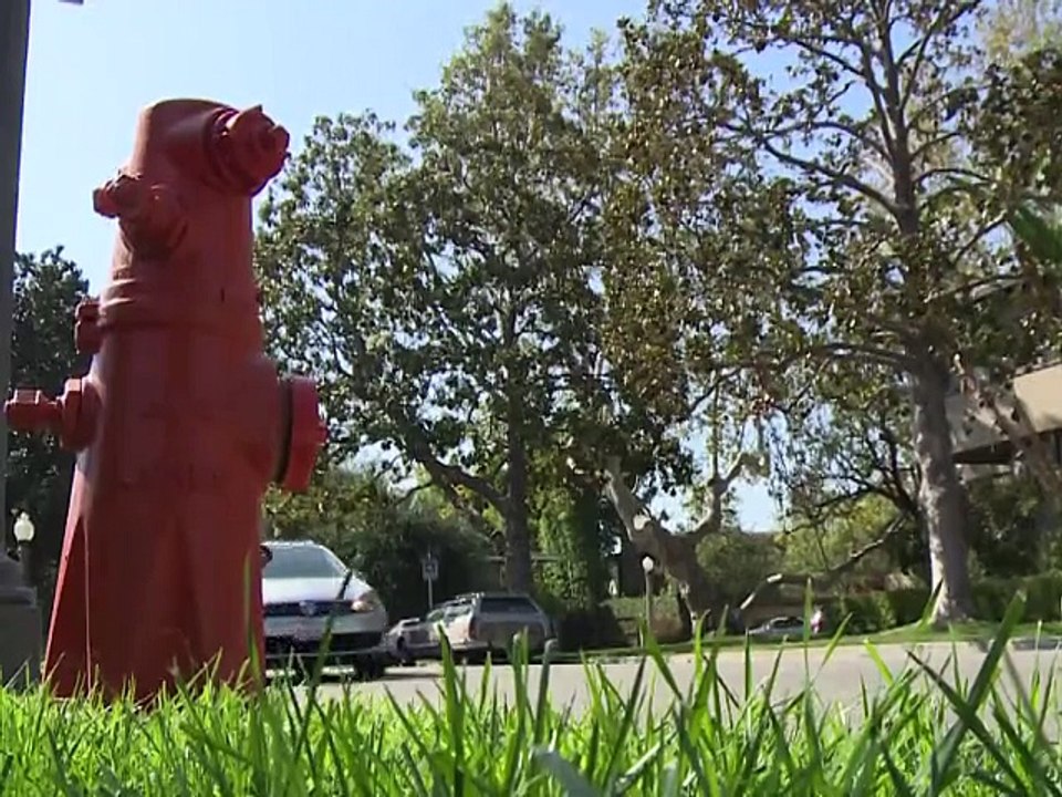 Volkswagen discrédité par ses moteurs truqués se choisit un nouveau patron