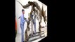 100 Million Year Old Dinosaur Fossils Found in Australia