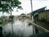 LiveLeak.com - Dog tries to revive dead bitch after being hit by car