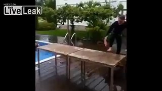 LiveLeak.com - Her Dive Bombed