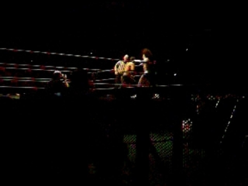 Raw WrestleMania Revenge Tour 07 Paris 5