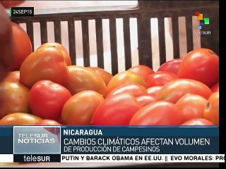 Nicaragua: debaten sobre cambio climático en el sector agropecuario