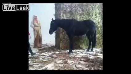 LiveLeak.com - Horse Get Very Excited On A Film Set