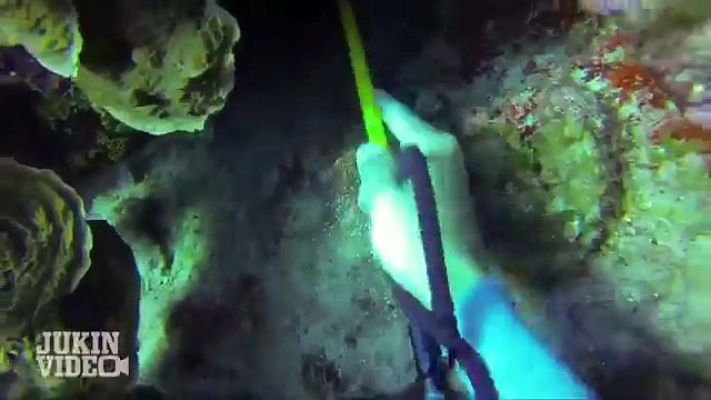 Shark ATTACKS Diver 70 Feet Deep in Cayman Islands