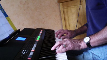 I can' t stop loving you ( Don Gibson ) COVER