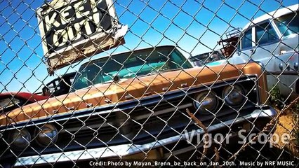 小川龍一が選ぶセンスのいい音楽集