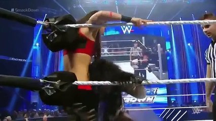 WWE Smackdown- Paige vs. Brie Bella
