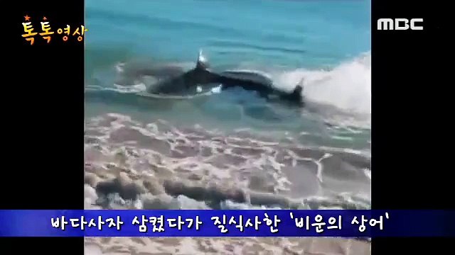 H1일산출장안마『OIO↔7455↔4242』ザ일산출장마사지╉좋은날╉후불제╉365日＃