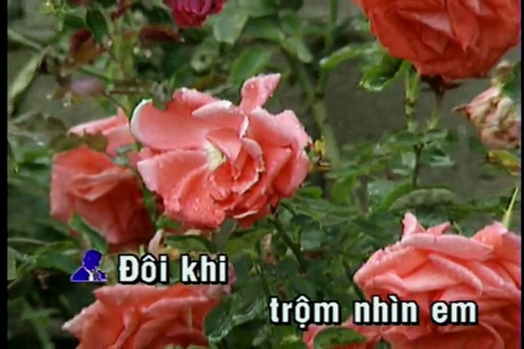 Trộm nhìn nhau - Chế Linh - karaoke HD beat chuẩn