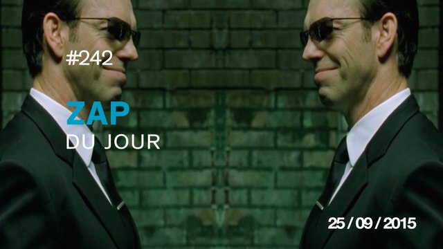 ZAP DU JOUR #242 : C'est qui le patron ? / Vol en wingsuit complétement dingue / Une pieuvre se cache dans le sable ! /