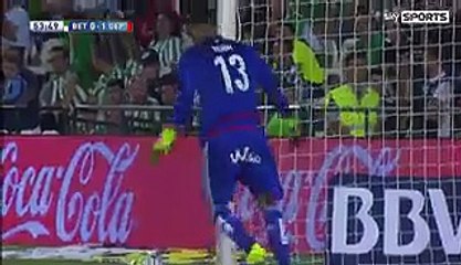 Cartabia scores a screamer