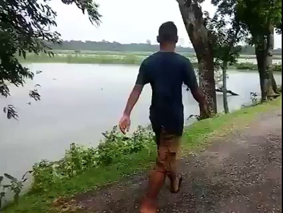 Funny Clip