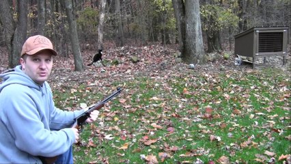 Henry Rifles .22 vs Old Video Camera