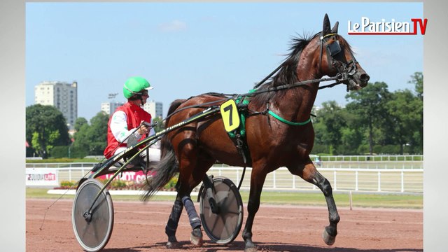 A cheval : les pronostics du Parisien pour le quinté à Vincennes