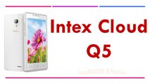 Intex Cloud Q5 Specifications & Features