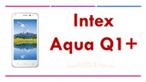 Intex Aqua Q1  Specifications & Features