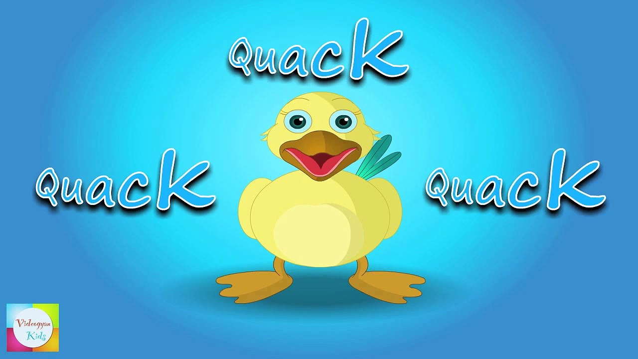 Six Little Ducks That I Once Knew Nursery Rhyme | Rhymes and Songs For Children