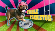 New Zealand v Namibia: Rugby World Cup 2015 - Puggle Predictor