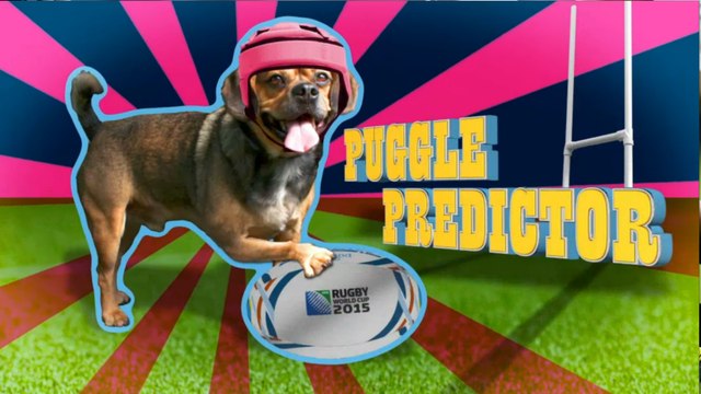 New Zealand v Namibia: Rugby World Cup 2015 - Puggle Predictor
