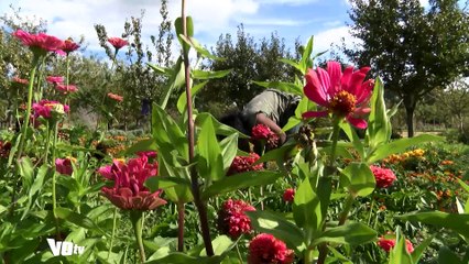 Le chantier d'insertion de la Roche-Guyon