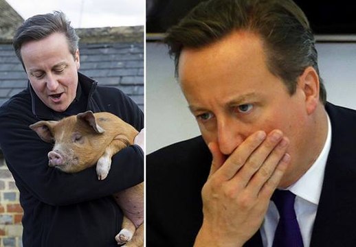 Quand les internautes se moquent de David Cameron - ZAPPING ACTU HEBDO DU 26/09/2015